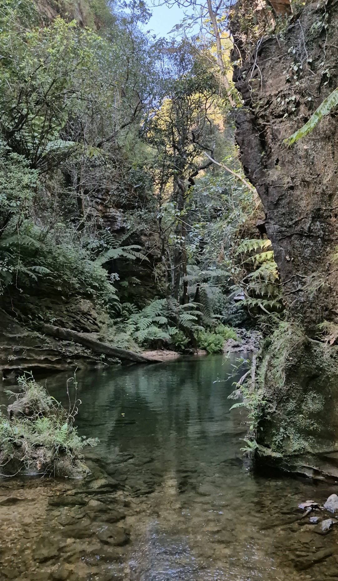 Gallery Image 12